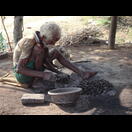 Nach dem Rösten kann die Fruchtwand von den Cashewfrüchten entfernt werden